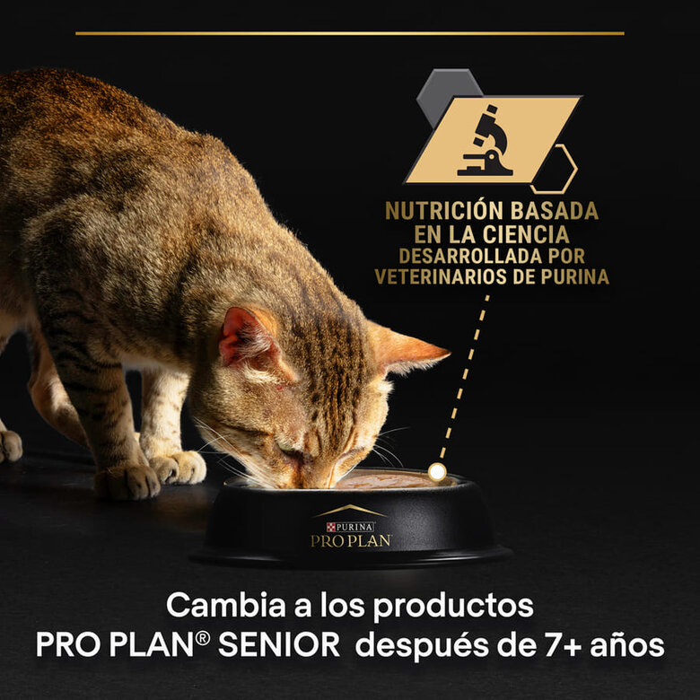 Pro Plan  Delicate Digestion con Pescado del Océnao en salsa para gatos, , large image number null